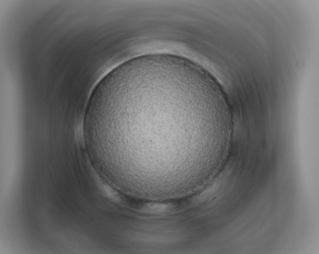 X0000110711513200906191537