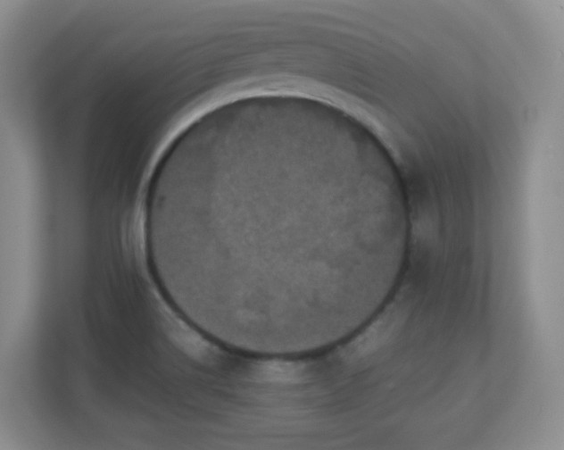 X0000110711514200906191537