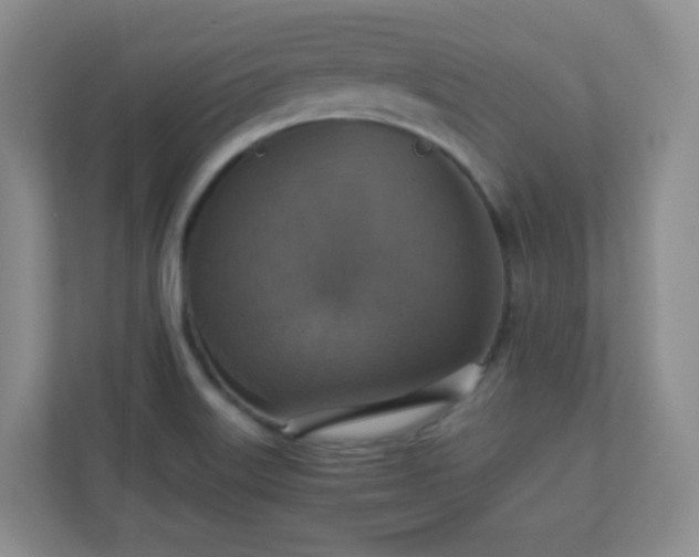 X0000110711515200906191537