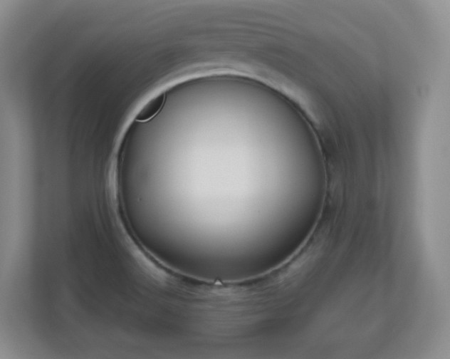 X0000110711516200906191537