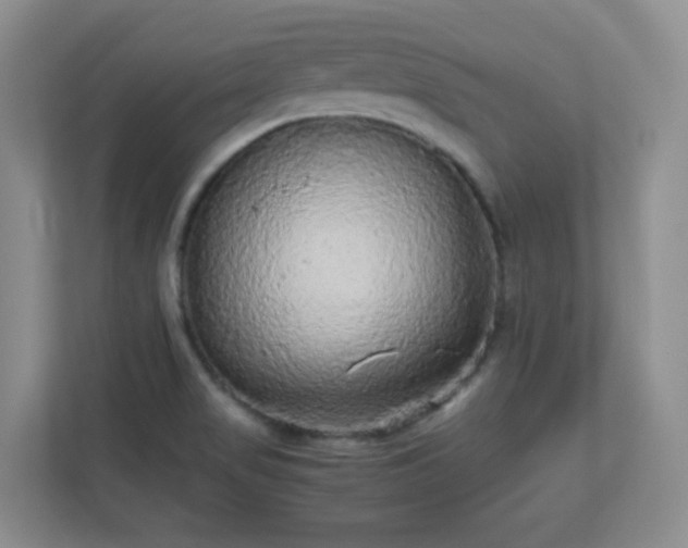 X0000110711517200906191537