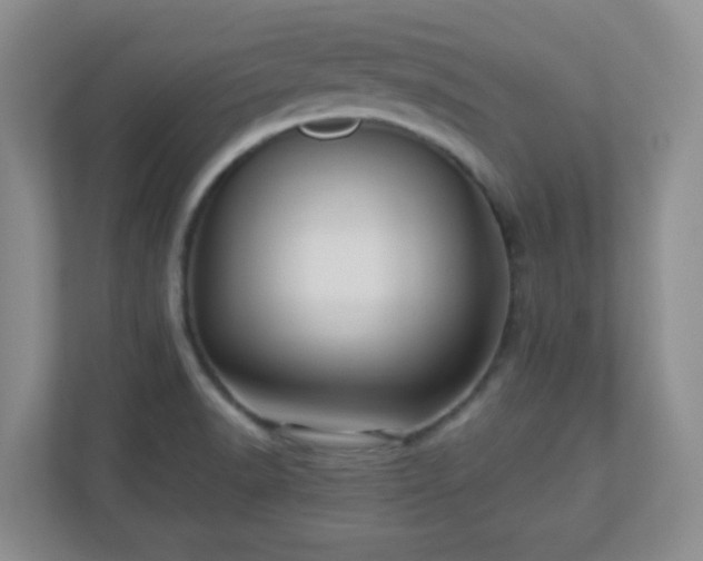X0000110711518200906191537