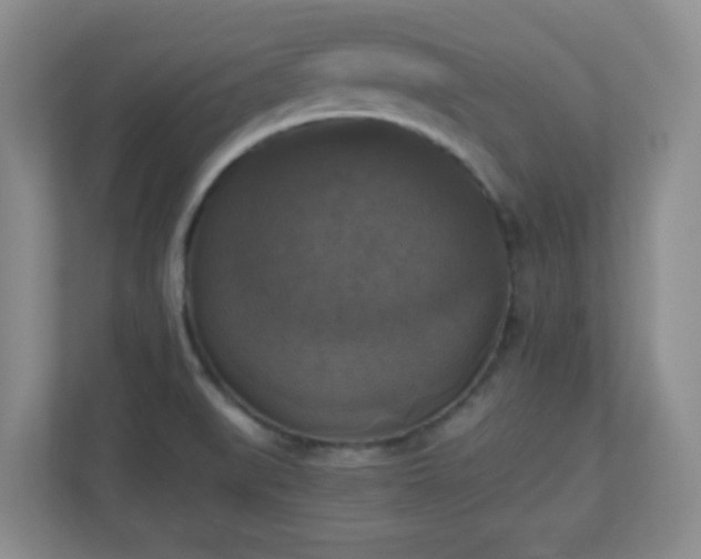 X0000110711519200906191537