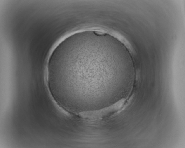 X0000110711520200906191537