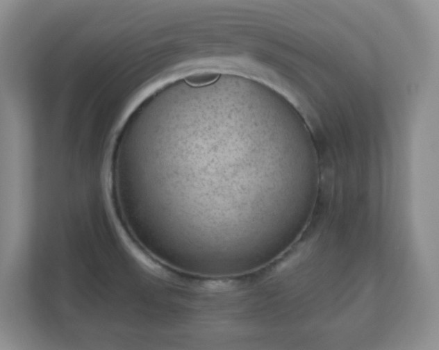 X0000110711523200906191537