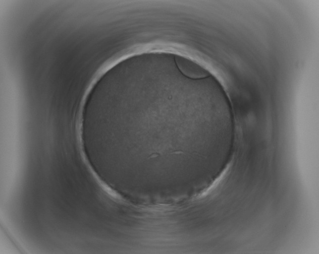 X0000110711525200906191537