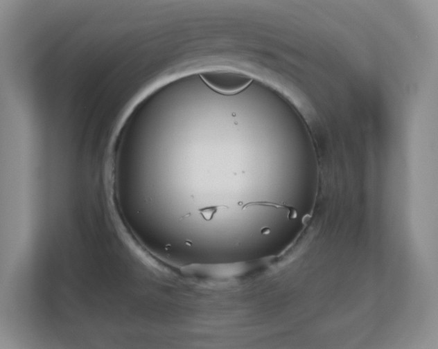 X0000110711526200906191537