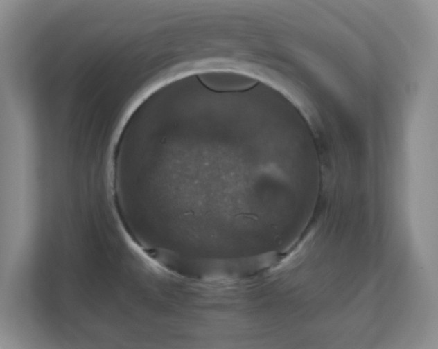 X0000110711527200906191537