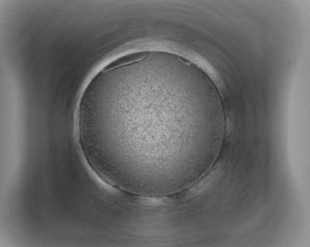 X0000110711528200906191537