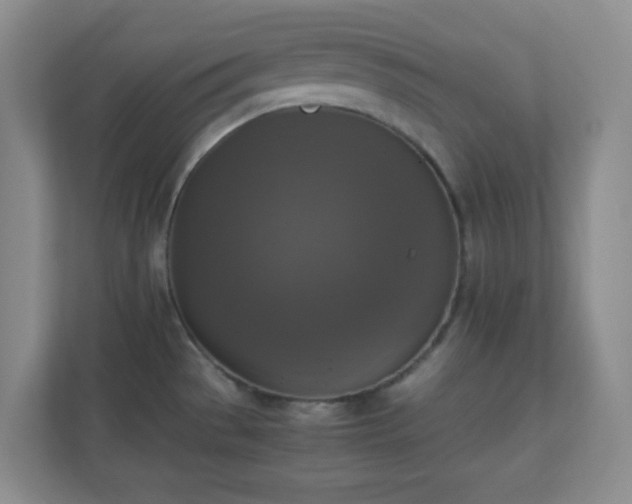 X0000110711529200906191537