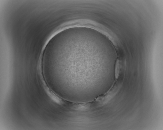 X0000110711530200906191537