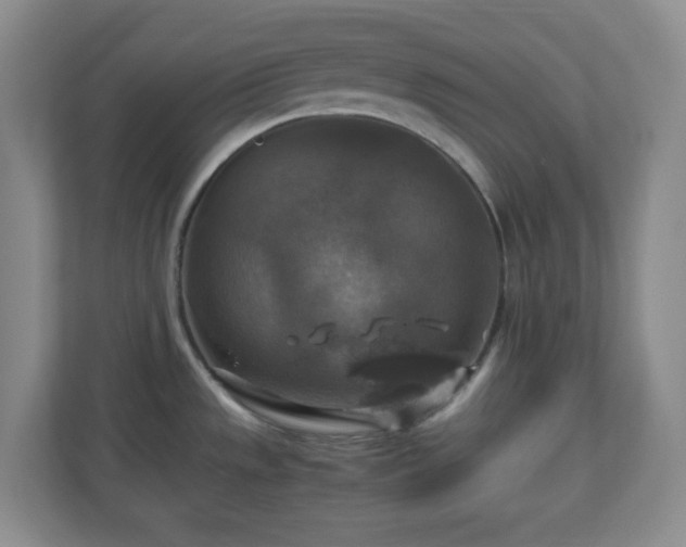 X0000110711533200906191537