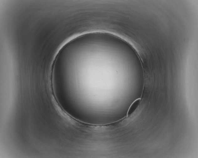 X0000110711534200906191537