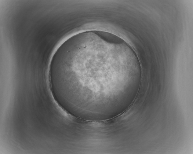 X0000110711536200906191537