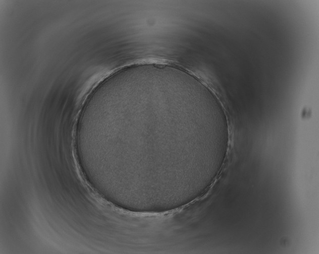 X0000110710001200906261442