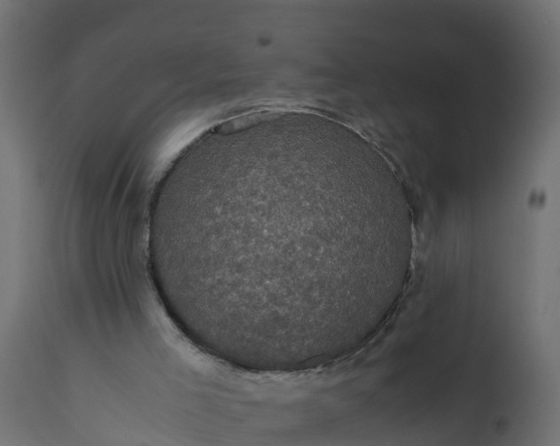 X0000110710005200906261442