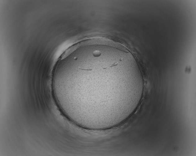 X0000110710006200906261442
