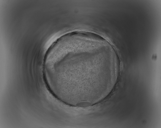 X0000110710007200906261442