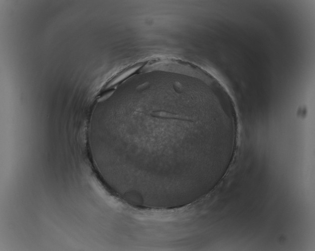 X0000110710009200906261442
