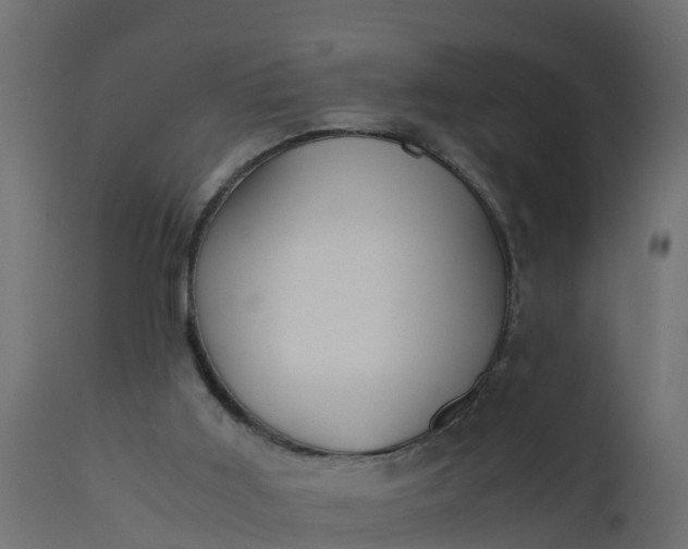 X0000110710011200906261442