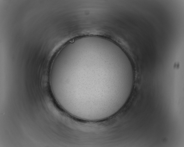 X0000110710012200906261442