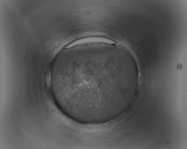 X0000110710013200906261442