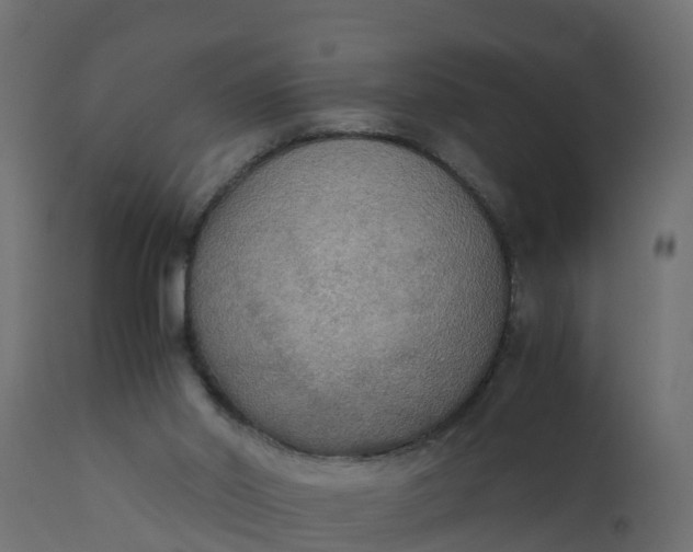 X0000110710014200906261442