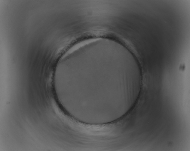 X0000110710018200906261442