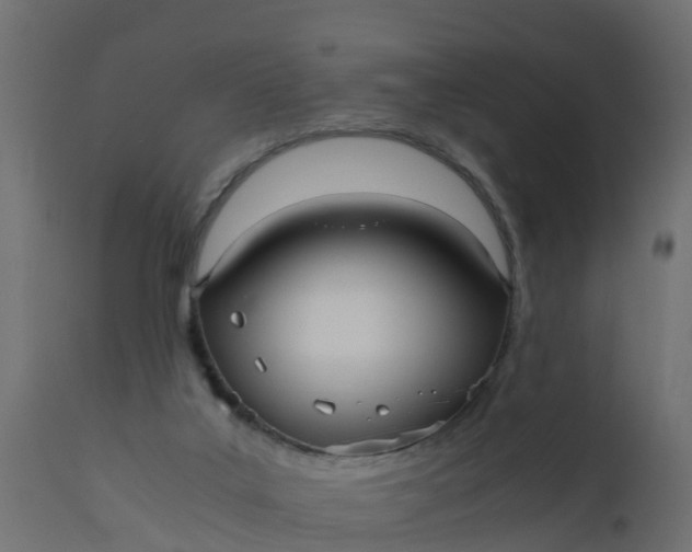 X0000110710019200906261442
