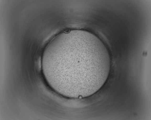 X0000110710020200906261442