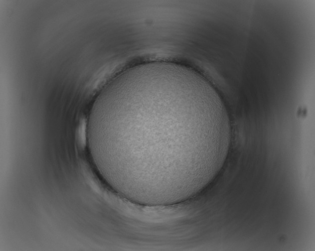 X0000110710022200906261442