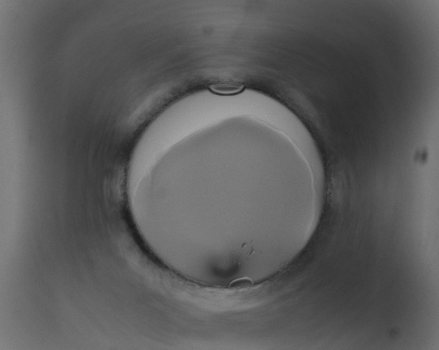 X0000110710023200906261442