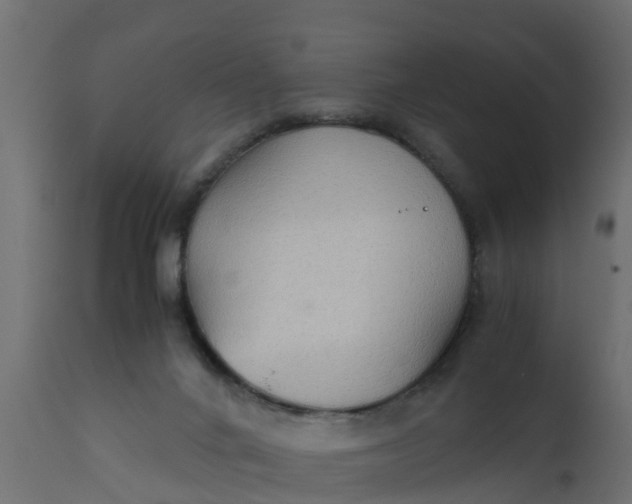 X0000110710024200906261442
