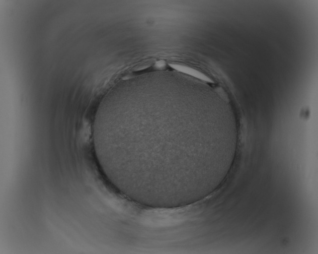 X0000110710025200906261442