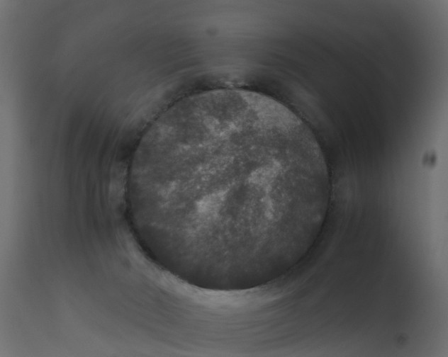 X0000110710030200906261442