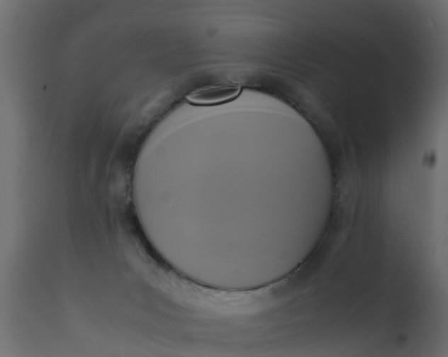 X0000110710031200906261442