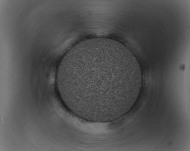 X0000110710032200906261442