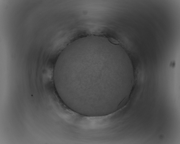X0000110710033200906261442