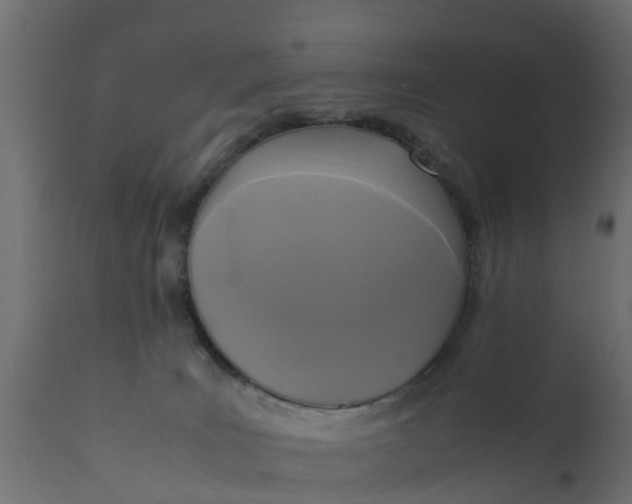 X0000110710035200906261442