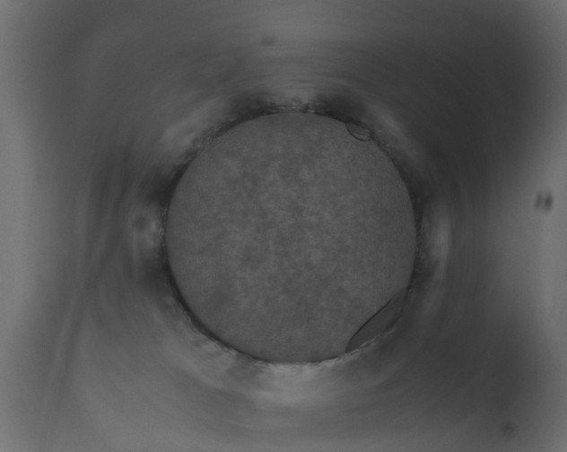 X0000110710037200906261442