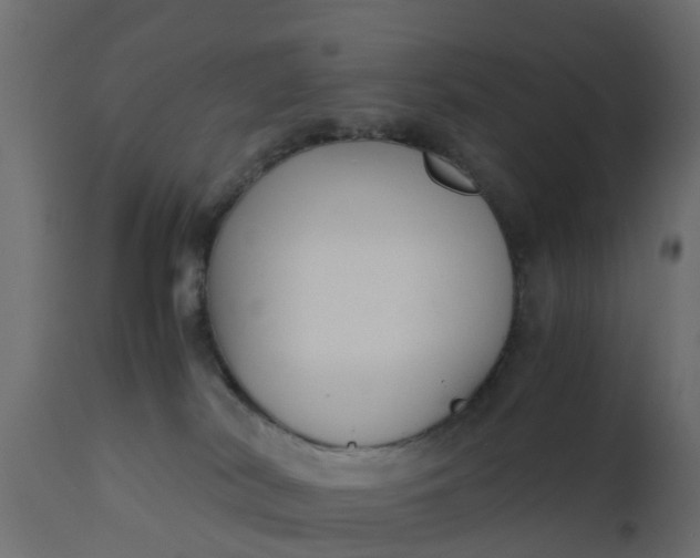 X0000110710038200906261442