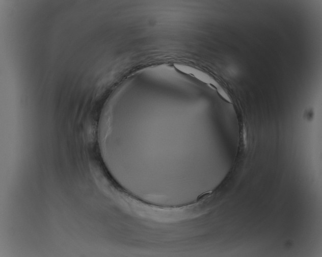 X0000110710039200906261442