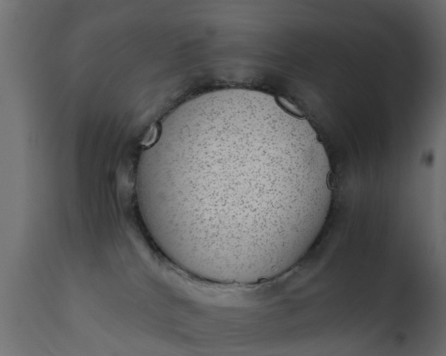 X0000110710040200906261442
