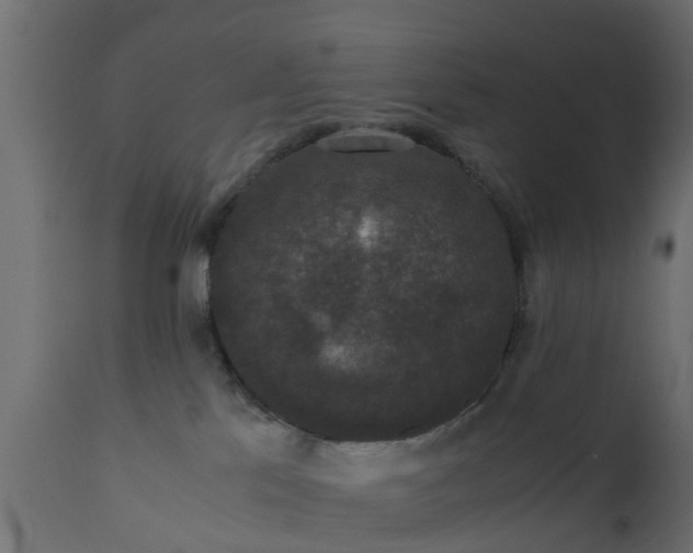 X0000110710041200906261442