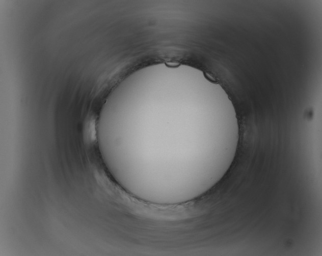 X0000110710042200906261442