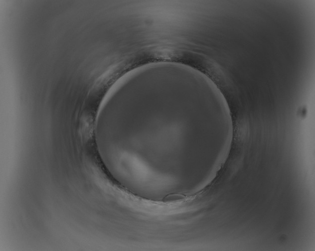 X0000110710043200906261442