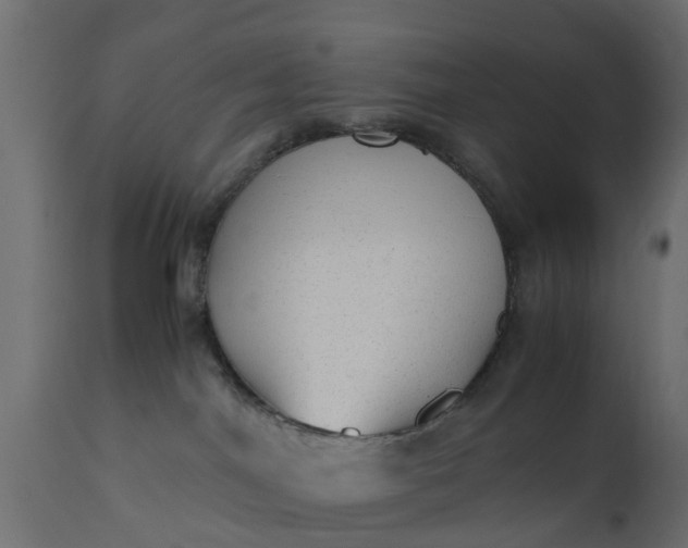 X0000110710044200906261442
