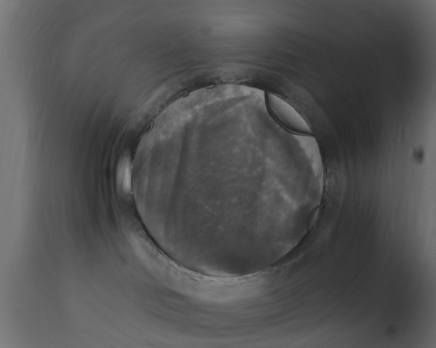 X0000110710046200906261441
