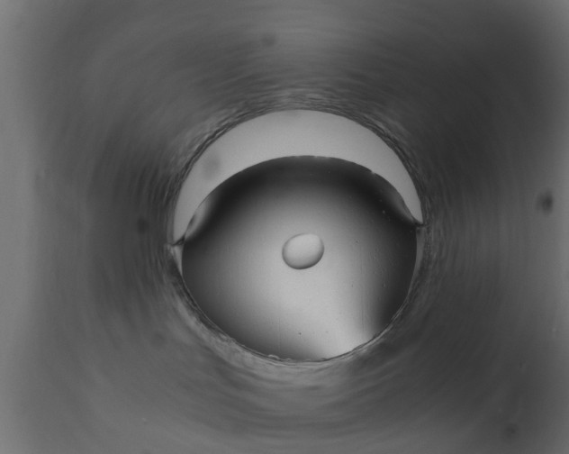 X0000110710047200906261441