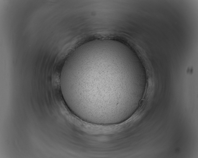 X0000110710048200906261441